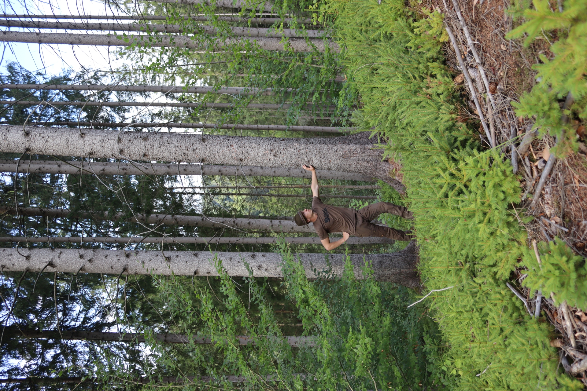 FachForester v praxi